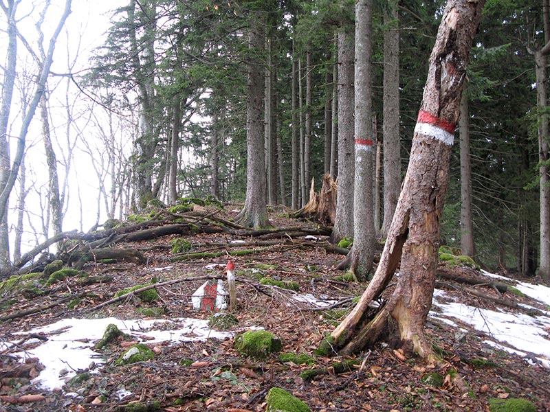 Schwarzenberg Westgipfel